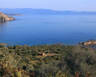 L’Alivetu, Residenza turistica 3* in Carghjese